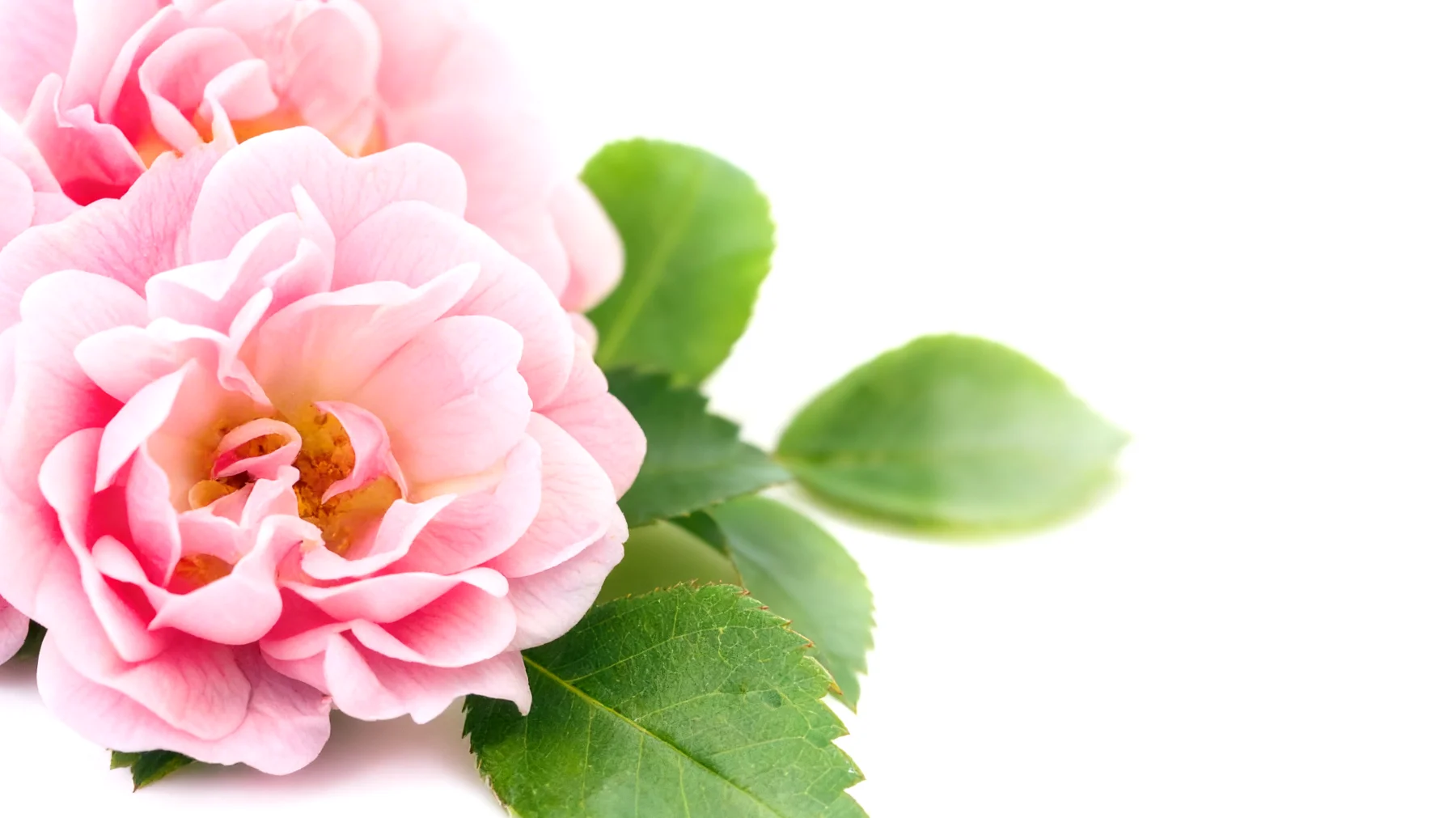 Unter uns2026-03-24T05:32:44.880Z"